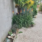 Hébergement de vacances Tiny House Cosy 2 - Angers