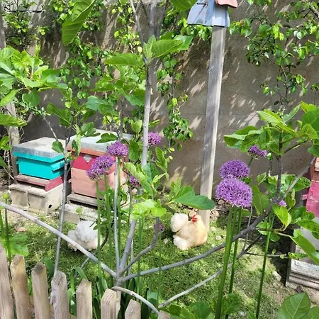 Tiny House Cosy 2 - * Angers