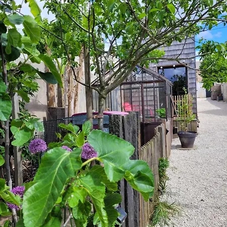 Tiny House Cosy 2 - Holiday home