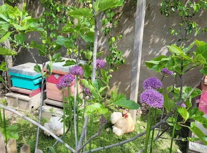 Tiny House Cosy 2 - * Angers