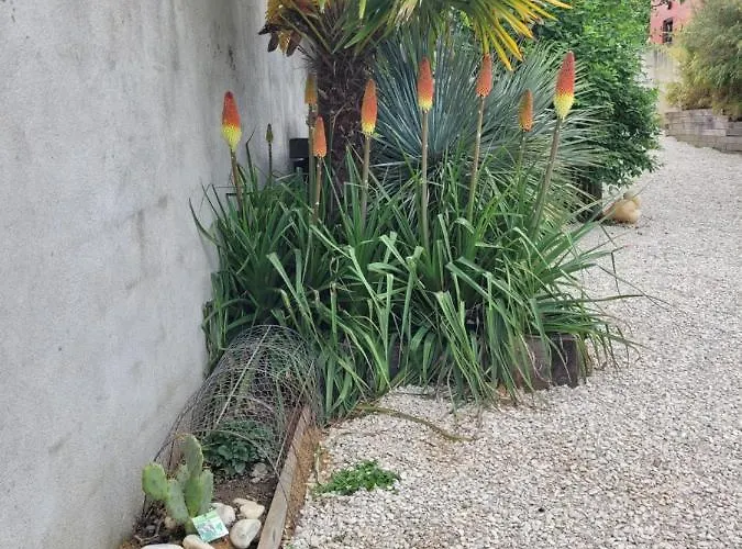 Tatil Evi Tiny House Cosy 2 - Angers